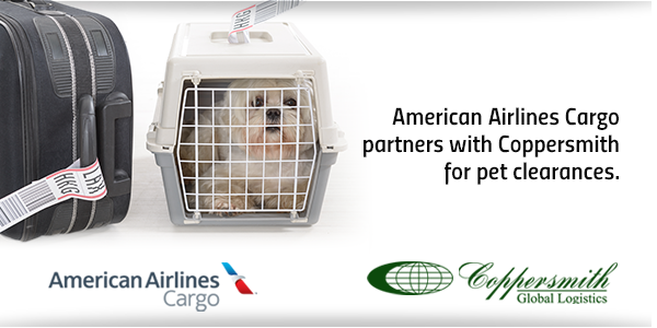 american airlines shipping a dog