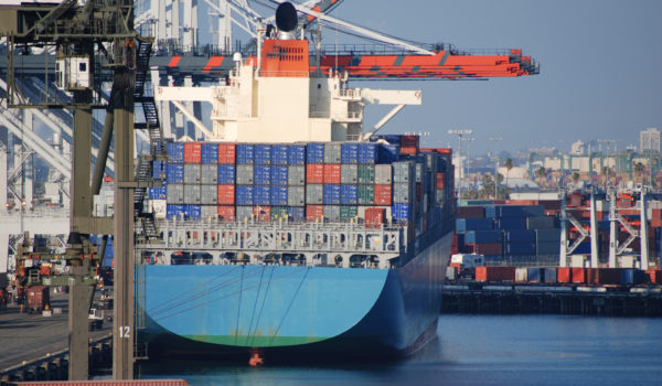 Port Congestion Crisis
