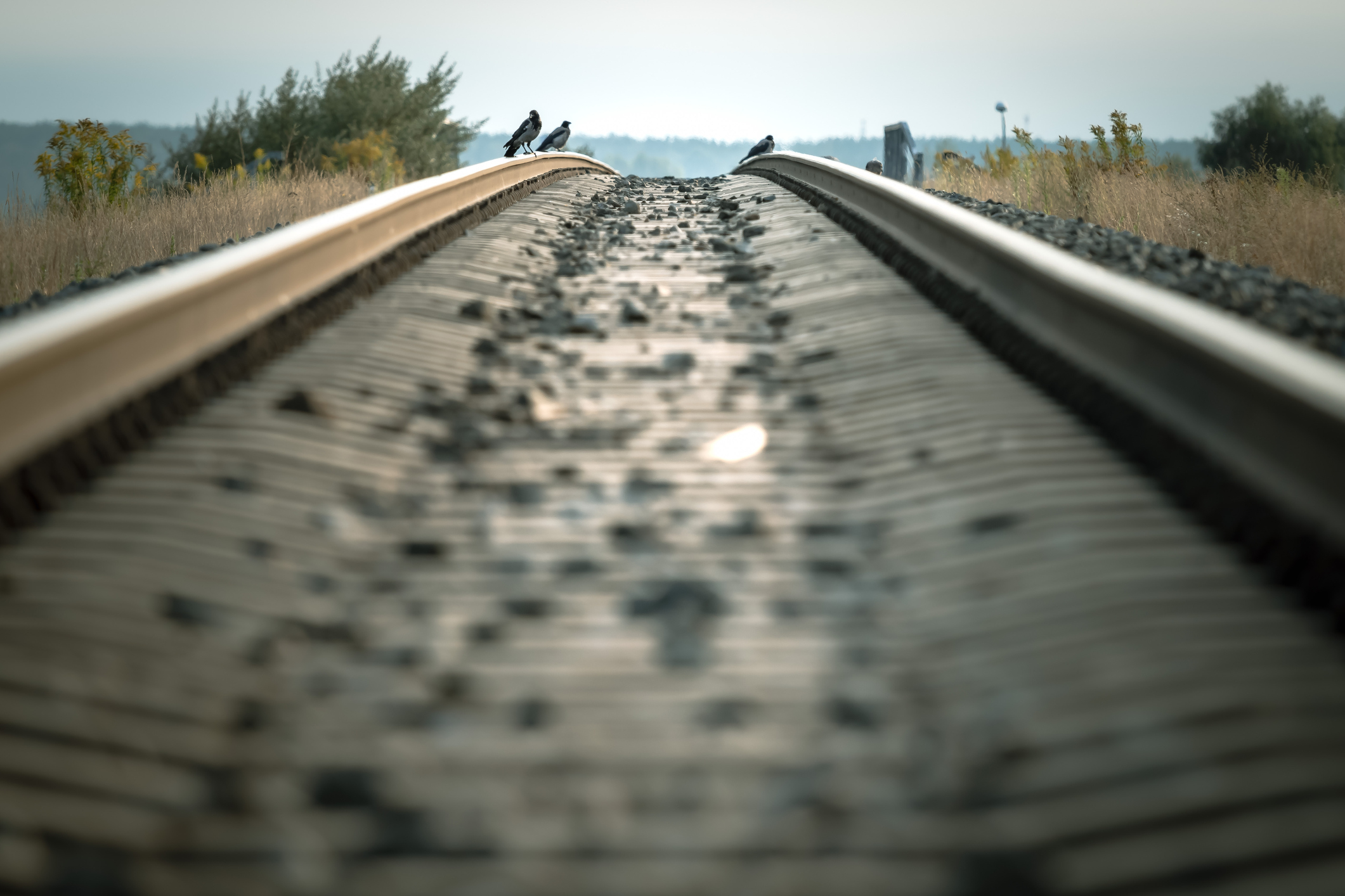 Rail Union Strike: Down the Line - Coppersmith Rail Union Strike: Down the Line - Coppersmith