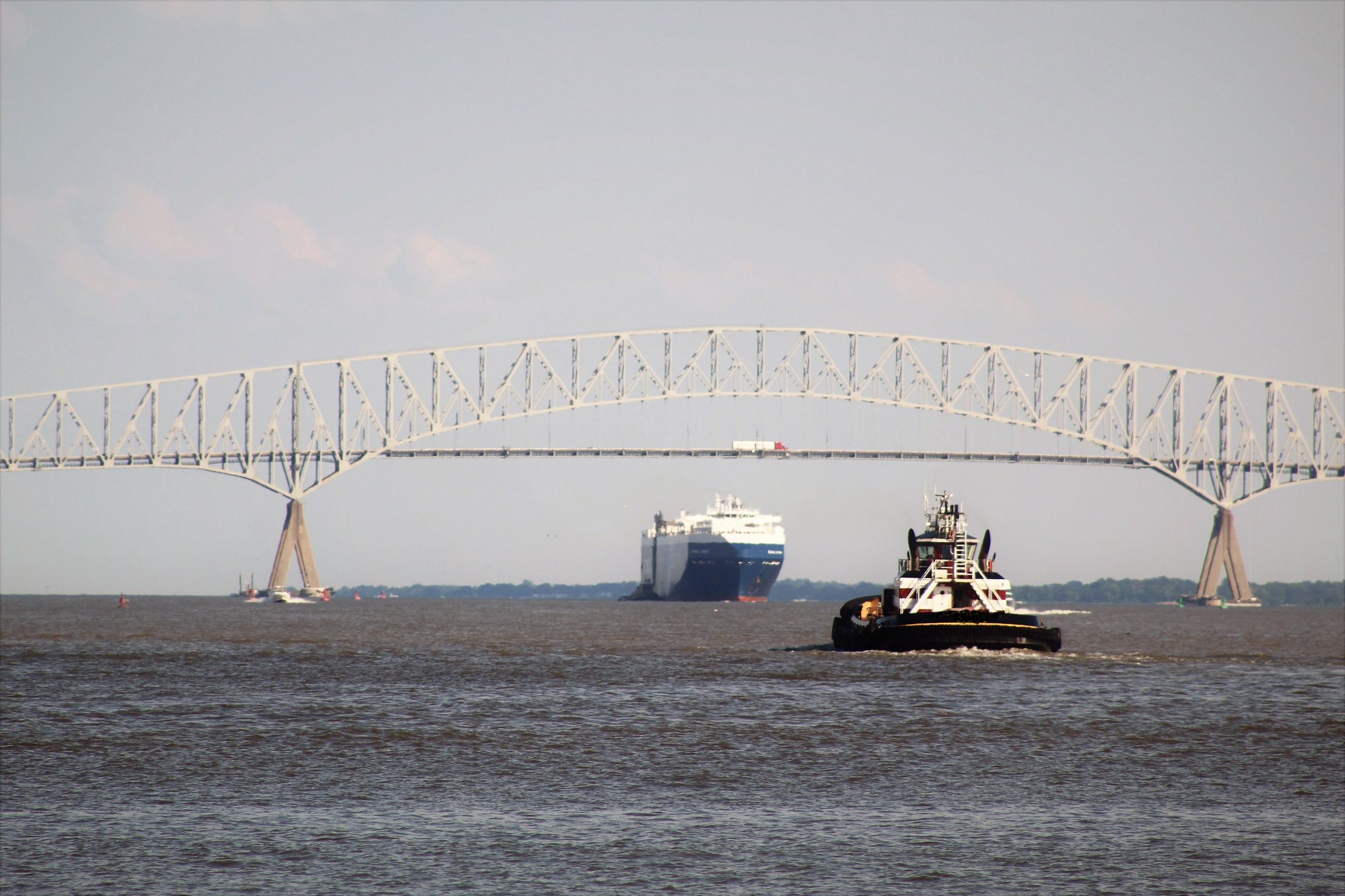 The Francis Scott Key Bridge Disaster: Implications for Global Trade